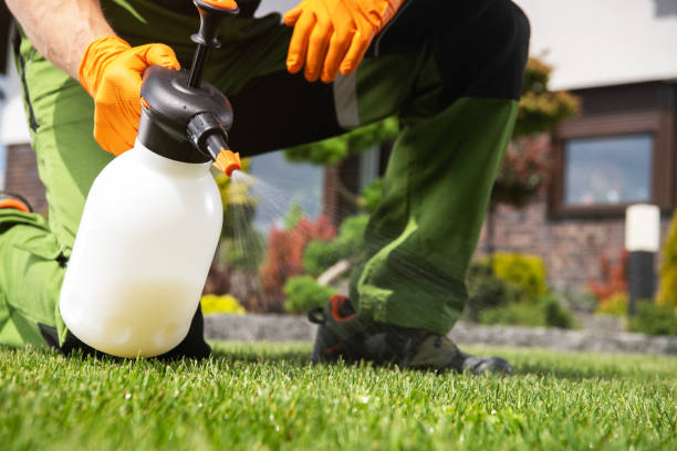 Best Wildlife Control Services  in Walls, MS