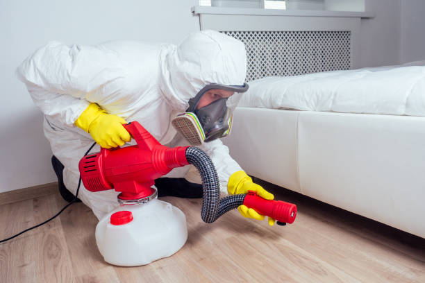 Best Local Pest Control Services  in Walls, MS