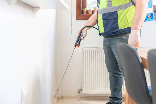 Best Termite Control Services  in Walls, MS