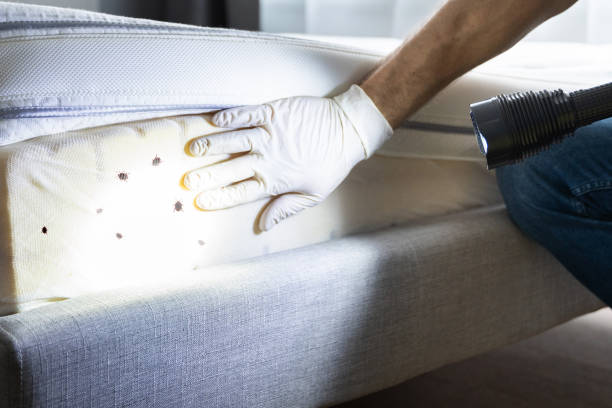 Best Commercial Pest Control Services  in Walls, MS