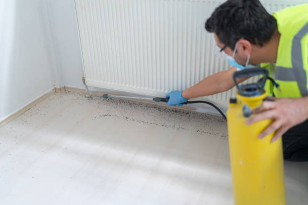 Reliable Walls, MS Pest Control Solutions