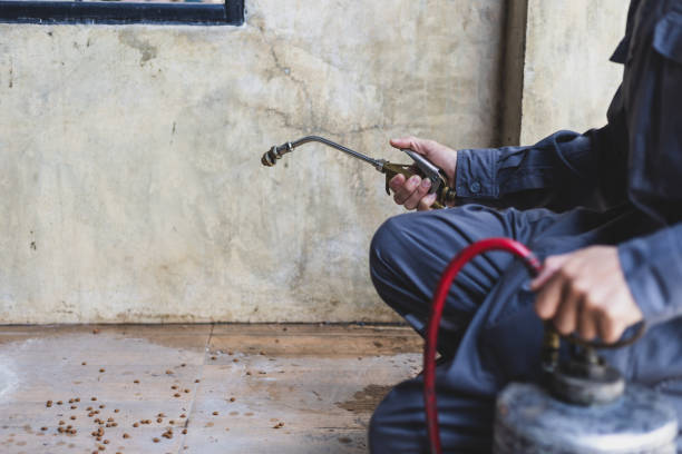 Best Pest Control Treatment  in Walls, MS
